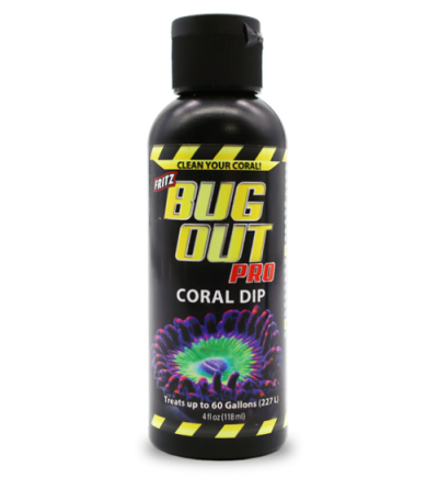 Bug Out   (DIP Corales)